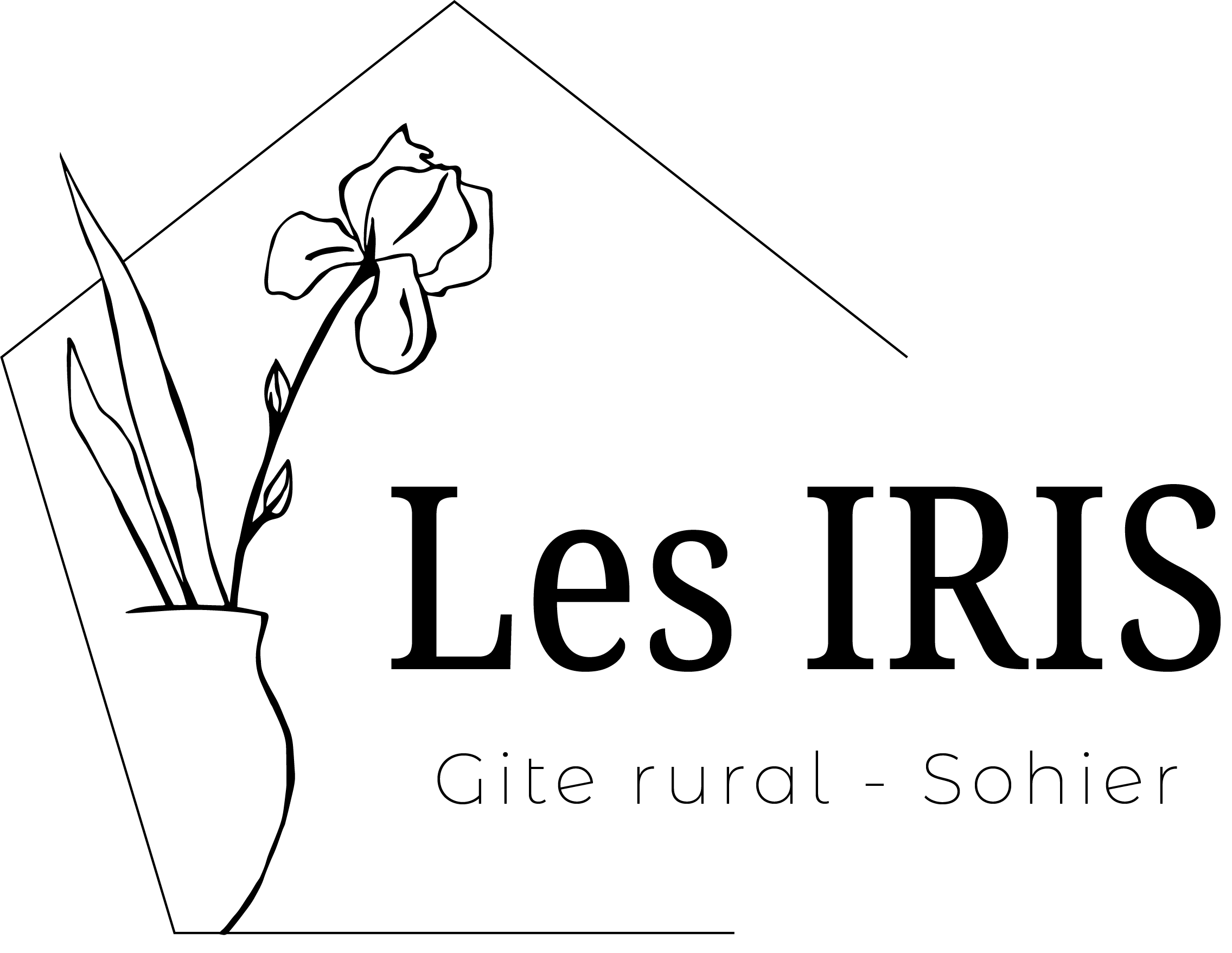 Les Iris - Sohier